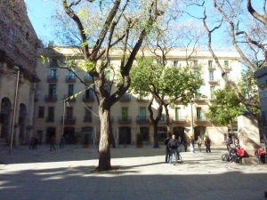 Trees in St. Augustin's square, Barcelona